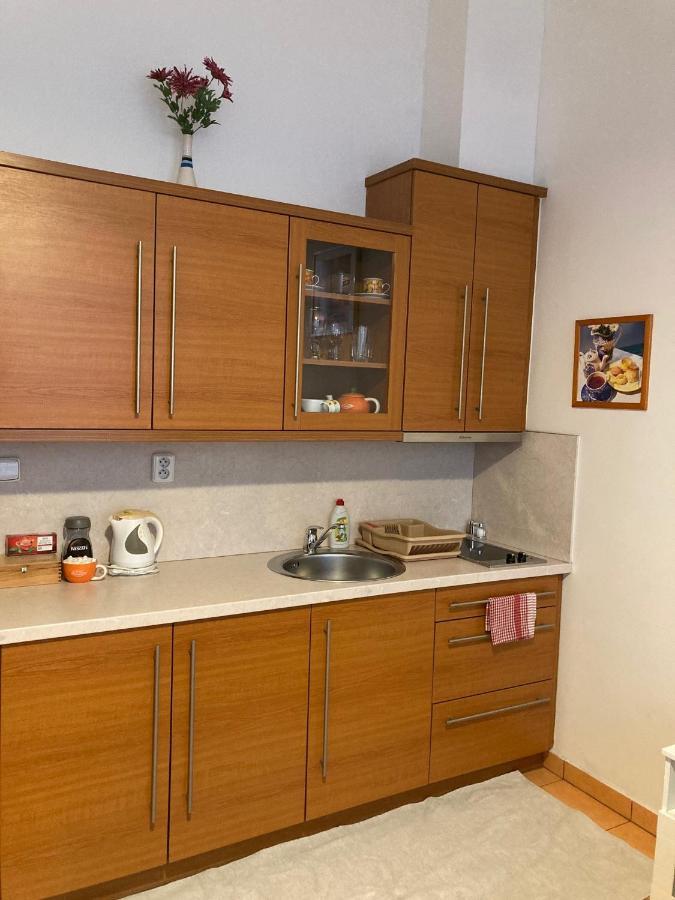 อาร์ตโฮเทล ซิตี้ 5 Aparthotel ปราก ภายนอก รูปภาพ